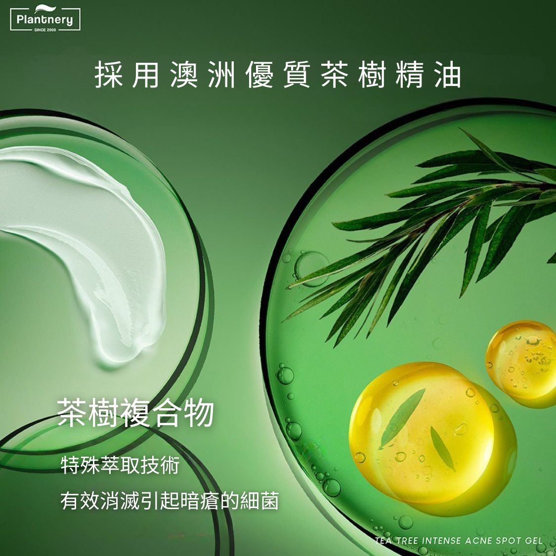 Plantnery Tea Tree Acne Treatment Gel 15g