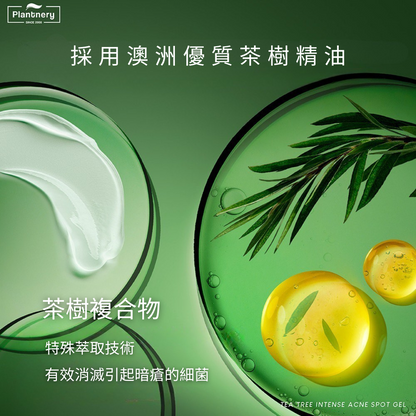 Plantnery Tea Tree Acne Treatment Gel 15g